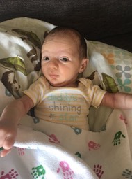 ElijahCalling