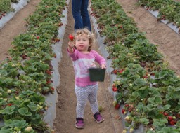 Kaia Two Years—10