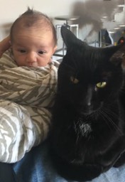 The Boys