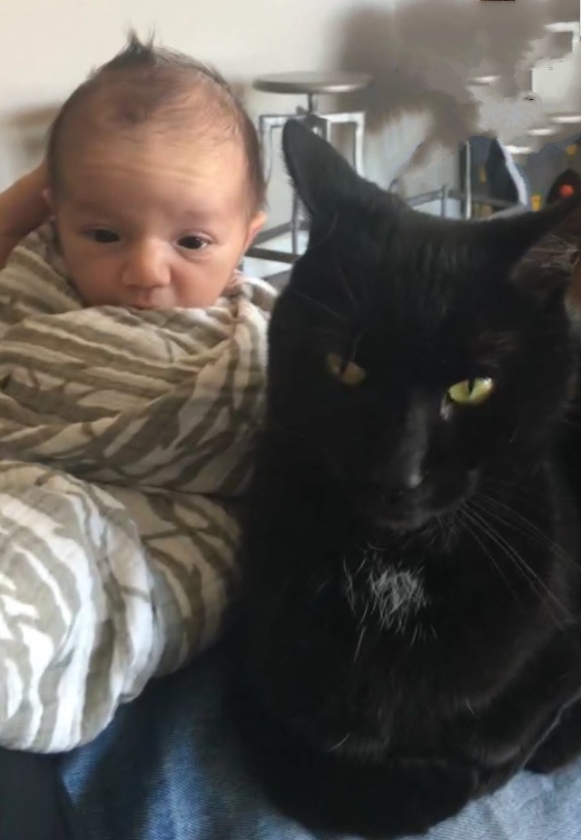 The Boys