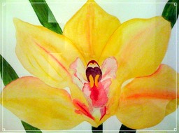 LuanneArt13F