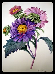 LuanneArt14F