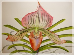 LuanneArt17