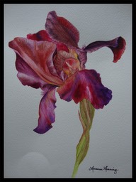 LuanneArt20cF