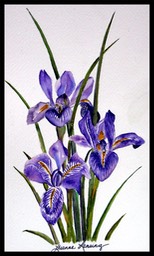 LuanneArt25F