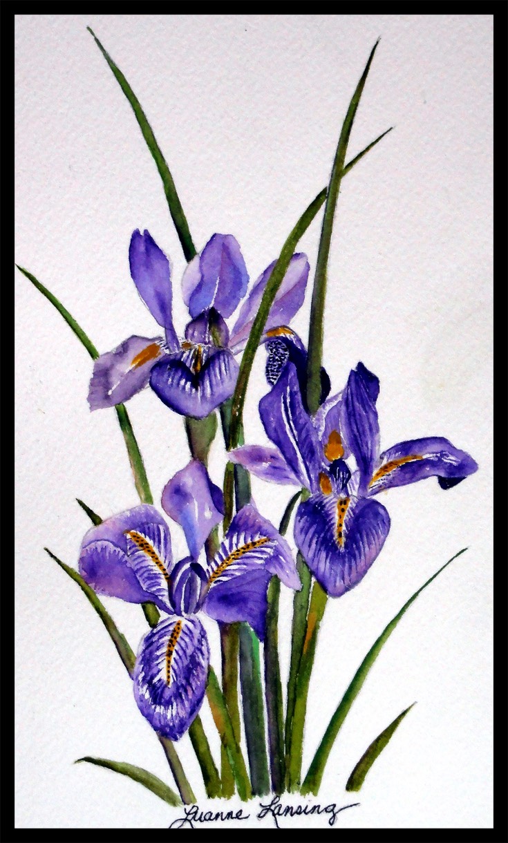 LuanneArt25F