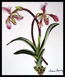 LuanneArt27F
