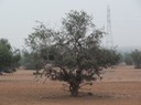 Agadir-Taroudannt—12