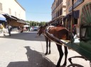 Agadir-Taroudannt—57