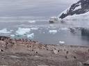 Antarctica2—22