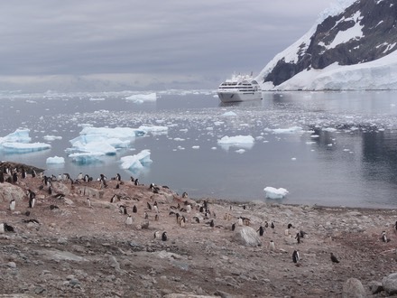 Antarctica2—22