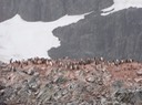 Antarctica3—11