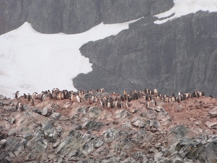 Antarctica3—11
