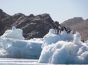 Antarctica5—10