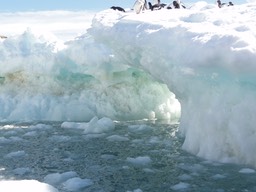 Antarctica5—23