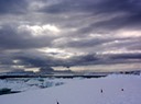 Antarctica5—89