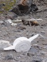 Antarctica6—8