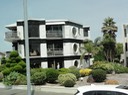 Auckland—33