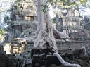 Cambodia—57