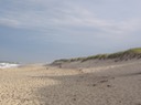 Cape Cod—64