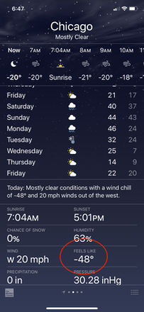 ChicagoWinter2019—06