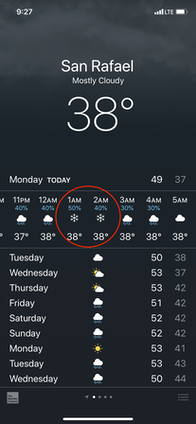 ChicagoWinter2019—16