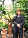 DC Orchids—14