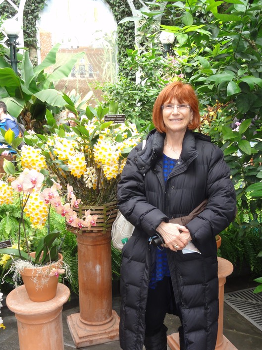 DC Orchids—14