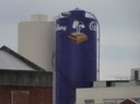 Dunedin—05