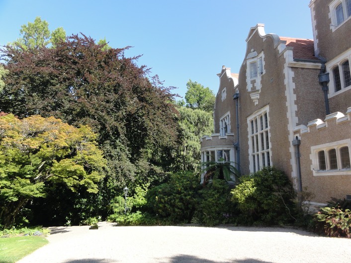 Dunedin—13