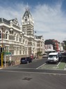 Dunedin—19