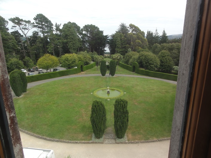 Dunedin—40