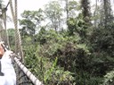 Ghana—35