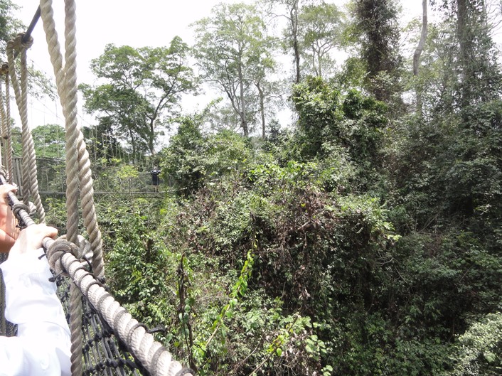 Ghana—35