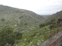 Gran Canaría—085