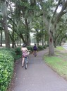 Hilton Head—28