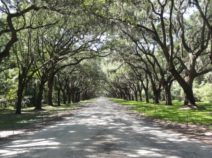 Hilton Head—65