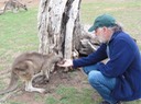 Hobart—55