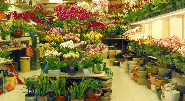 Hong Kong—40b