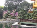 Hong Kong—57