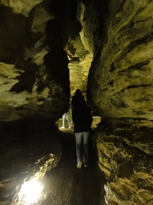 Iowa Illinois Missouri 2019—31