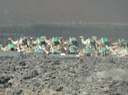 Lanzarote—050