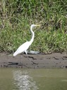 Panama Cruise-Costa Rica—31