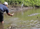 Panama Cruise-Costa Rica—39