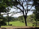 Panama Cruise-Costa Rica—4