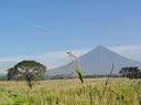 Panama Cruise-Guatemala—6