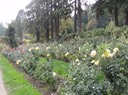 Portland-20