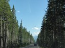 RoadTrip-Wyoming—48