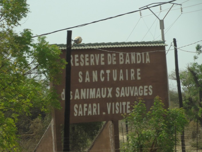 Senegal—12