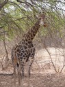 Senegal—21